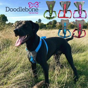 doodlebone harness