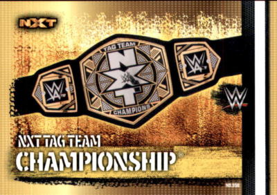 TOPPS WWE SLAM ATTAX 10TH EDITION CARD N.356 NXT TAG TEAM CHAMPIONSHIP