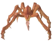 Y-MSF Zero Toys Godzilla King of the Monsters TITANUS SCYLLA 7 inch figure