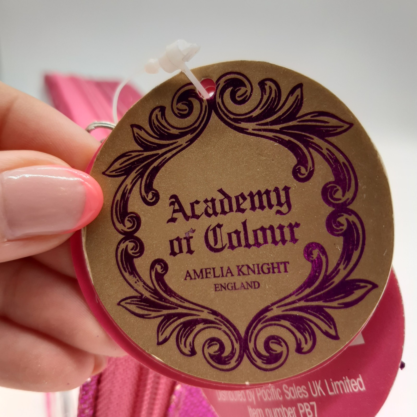 Amelia Knight Academy of Colour Lip Gloss & Nail Polish Set Pink Glitter Bag PB7 image 6