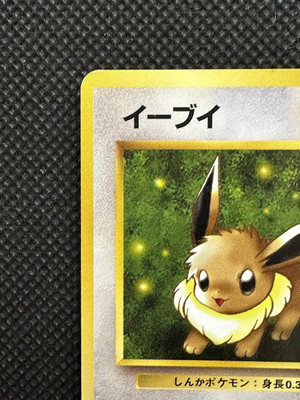 Pokemon Card Eevee Old Back No. 133 Japanese Nintendo Japan | eBay