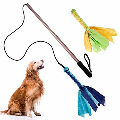 Palo de juguete retráctil para perros de coqueteo, interactivos para perros con 2 juguetes | eBay