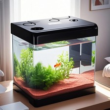 Betta Fish Tank 5 Gallon Glass Aquarium Starter Kit Small Fish Tank W/ Filter