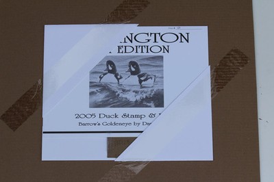 2005 Washington State Barrow's Goldeneye Stamp and Print by Daniel Smith
