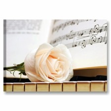 Pianoforte e Rosa 2 - Quadro su Tela Fiori Bianchi 70x50 Soggiorno Camera Letto
