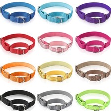 12 Pcs Martingale Collar for Medium Dogs Reflective Dog Collar with Durable M...
