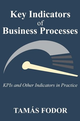 Key Indicators of Business Processes Tamás Fodor Taschenbuch Englisch 2025