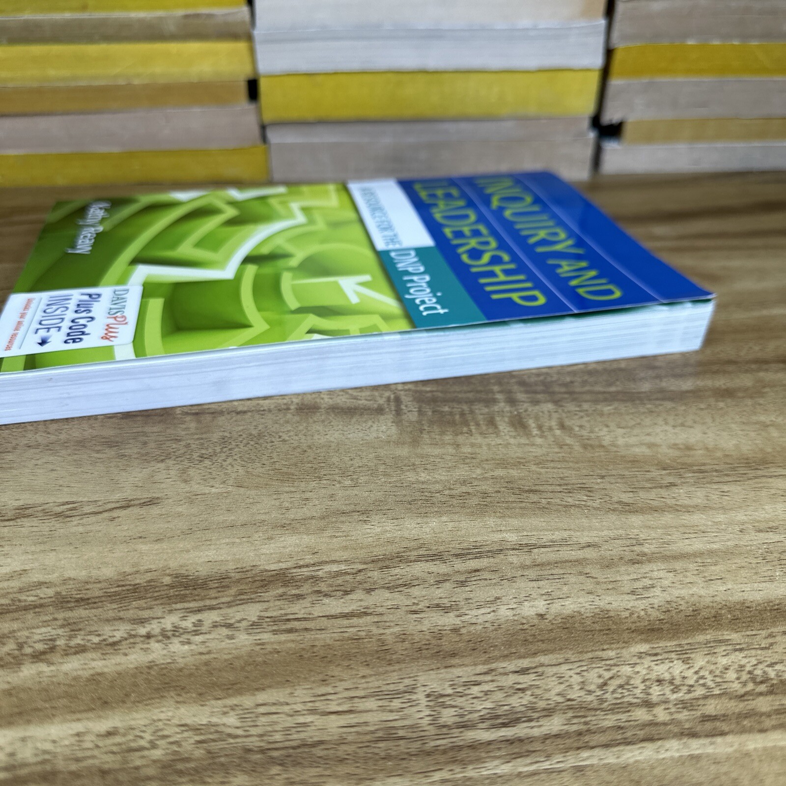 Inquiry And Leadership.  A Resource For The DNP Project Paperback