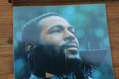 SUPREME Clothing Marvin Gaye Soul Record Cover Pic Vintage
