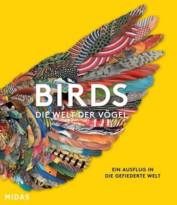 BIRDS - Die Welt der Vögel - Ein Ausflug in die gefiederte Welt van Grouw, Katri
