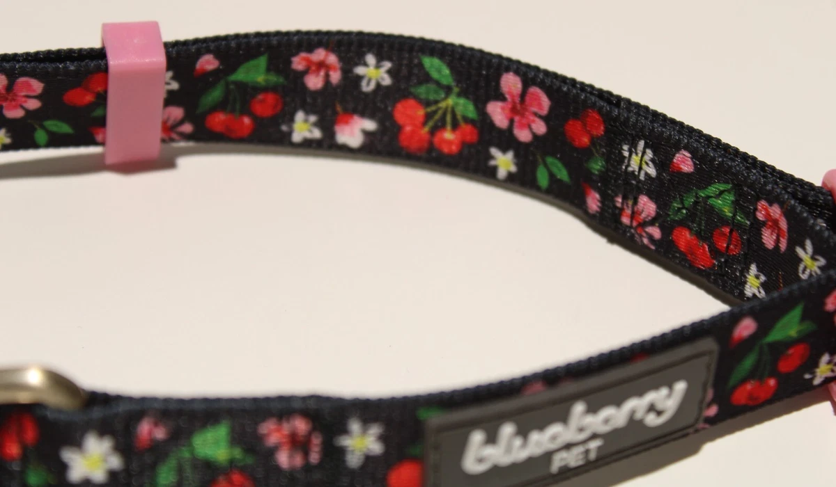 Blueberry Pet Dog Collar MEDIUM Cherry Garden Dainty Flowers up to