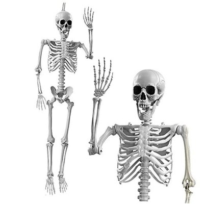 5.4Ft Halloween Life Size Skeleton Full Body with Movable Joints for Halloween 