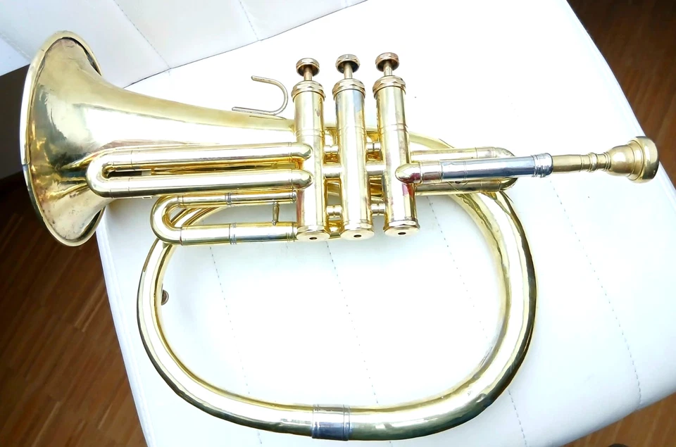 RAR !!!! Kuhlohorn mit Pumpventilen - Bild 2 von 4