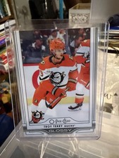 2025-26 Upper Deck Series 1 - O-Pee-Chee Glossy Troy Terry #OG-23
