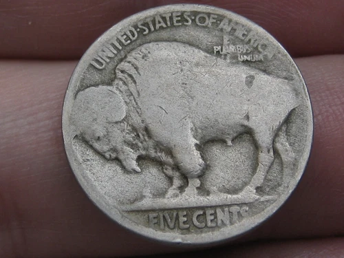 1913 S Buffalo Nickel 5 Cent Piece- Type 2, T2, Good Reverse Details