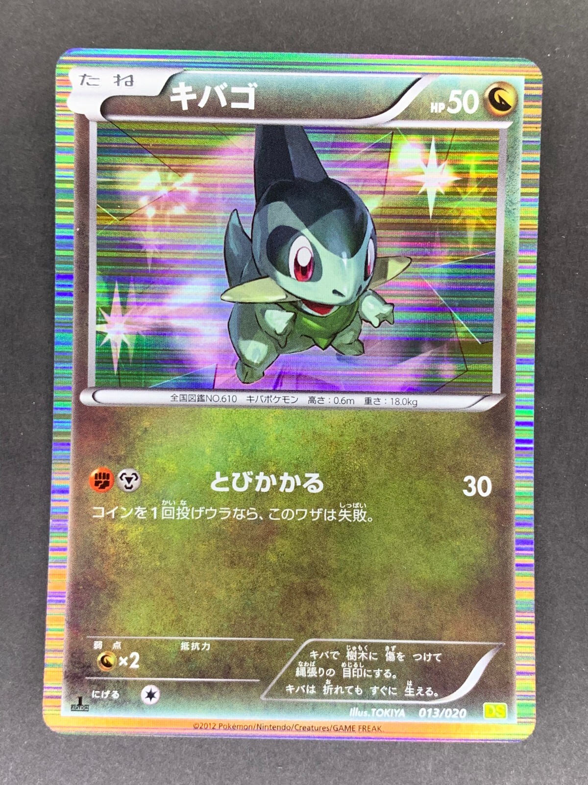 Axew 013/020 1st ED DS Dragon Selection Japanese Pokemon Card
