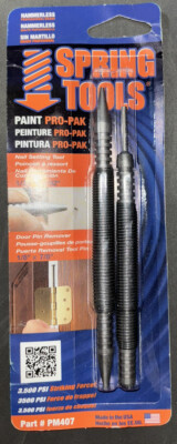 Spring Tools PM407 Paint Pro Pak Nail Setting & Door Pin Removal Tool