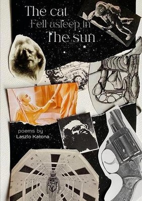 The cat fell asleep in the sun by Laszlo Katona Paperback Book