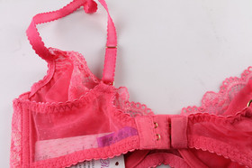 L'Agent by Agent Provocateur Mirabel Bra 32 D Lipstick Pink NWT Underwire Lace