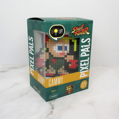 Pixel Pals Cammy #021 Street Fighter 30th Anniversary Light Up Art Figure NISB