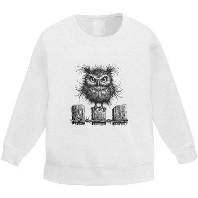 Kinder Sweatshirt / Pullover / Pulli ''Angry Owl On Fence Post'' (KW051610)