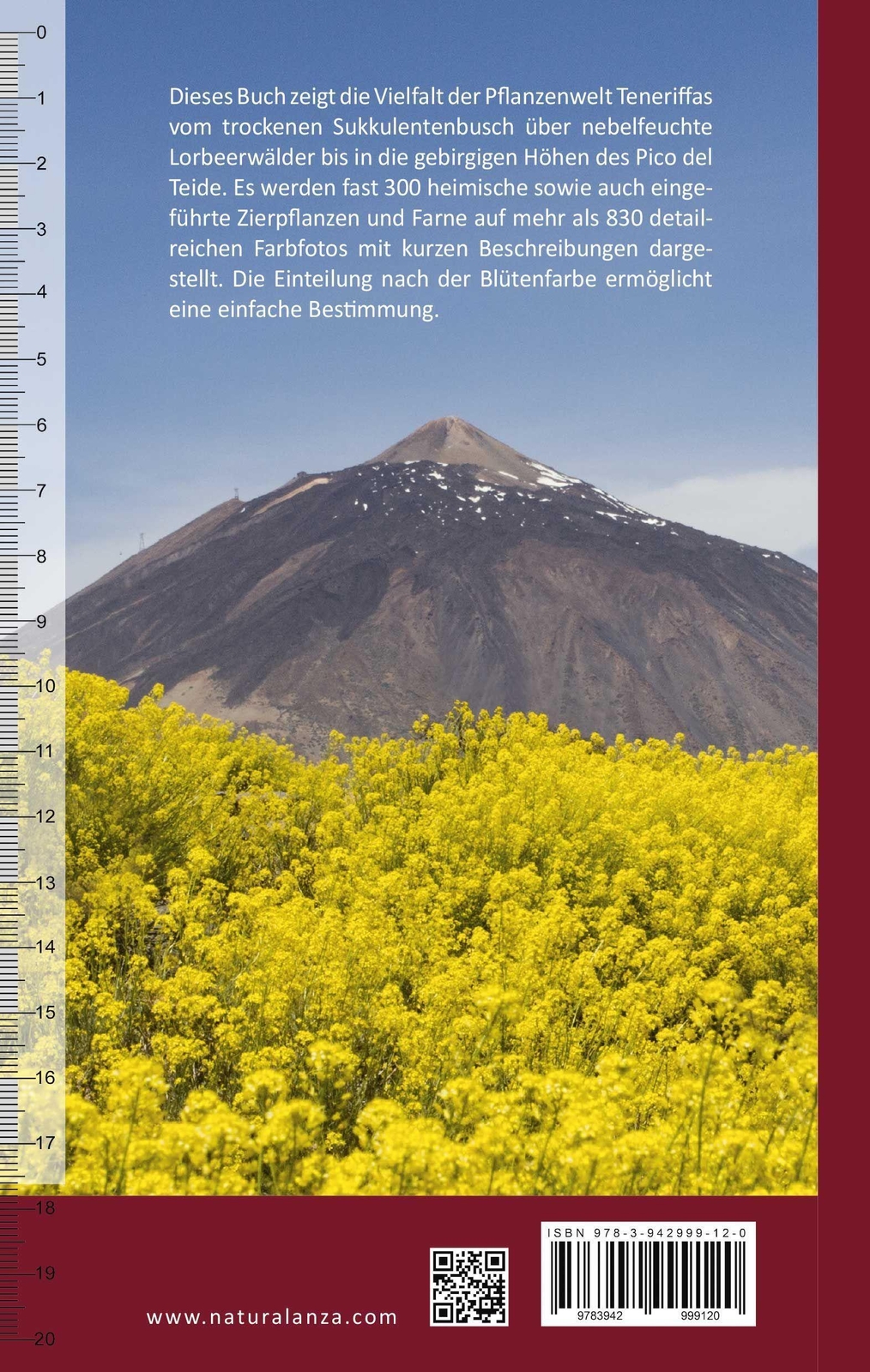 Thumbnail - Teneriffa Pflanzen Entdecken Ulrike Strecker (u. A.) Taschenbuch