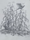 Neal B. Rash Hand Signed & Numbered 1983 Pheasant Lithograph Print 115/500 — photo 5