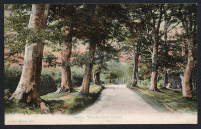 Postkarte Ringwood New Forest Hampshire die Burley Woods von FGO Stuart 1010