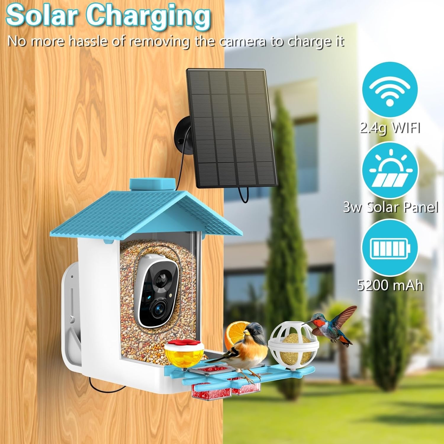 Smart bird Feeder with Camera Solar Powered,AI Identify Bird Species,A...