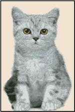 Gray Kitten Counted Cross Stitch Chart #16-101 