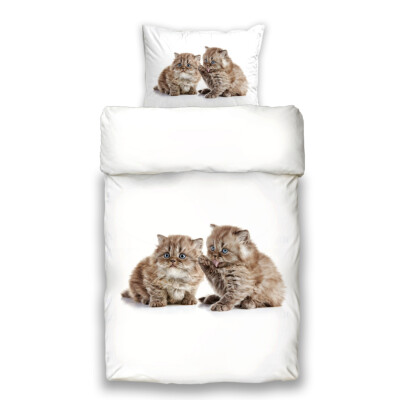 Schwanberg Bettwäsche Jimmy Katzen Katzenbaby animal cat Tiermotiv Renforcé