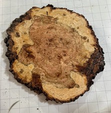 T633 Cherry Burl Live Edge Raw Tree Slice Cookie Birds Eye 12x10.5x3/4 Eyes