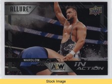2024 Upper Deck Allure AEW In Action Black Rainbow Wardlow #IA-25 READ 0vr7