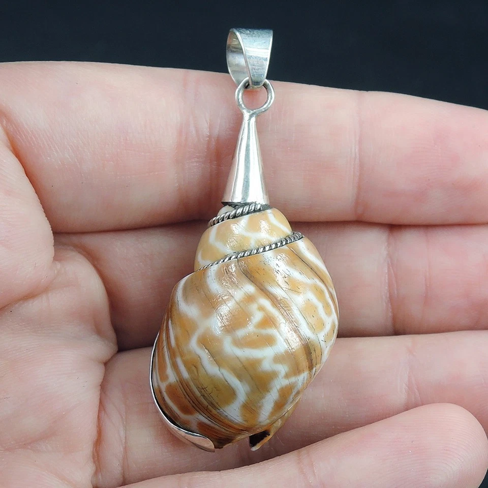 Ciondolo conchiglia a spirale marrone e bianco naturale in argento sterling... - Immagine 3 di 4