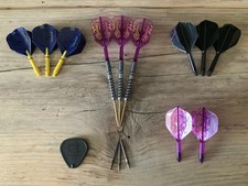 Target Luke Littler World Champion Darts 23g