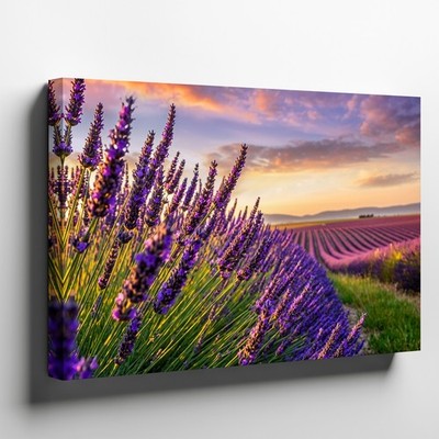 Vibrant Field Of Blooming Lavender Stretches Across The Foreground Wall Art
