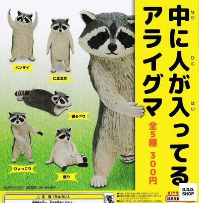 Waschbär mit einem Menschen im Inneren Komplettset 5 Kapseln Gashapon Spielzeug