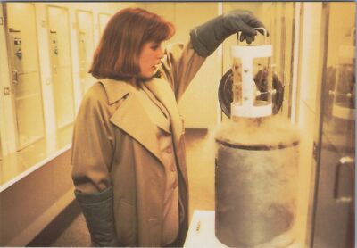 TV Show Postkarte - Die X Akten, Dana Scully Ref.RR18335