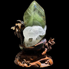 25LB Top Natural Green Ghost Phantom elephant Quartz Crystal Skull + Stand