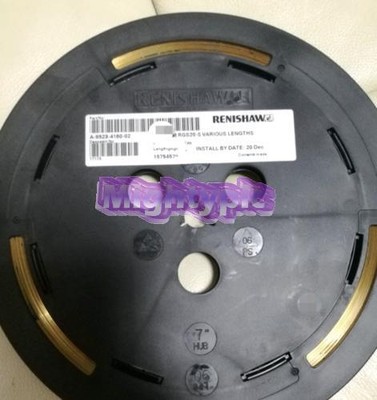 RGS20S New 6M RENISHAW RGS20-S Incremental Encoder System .