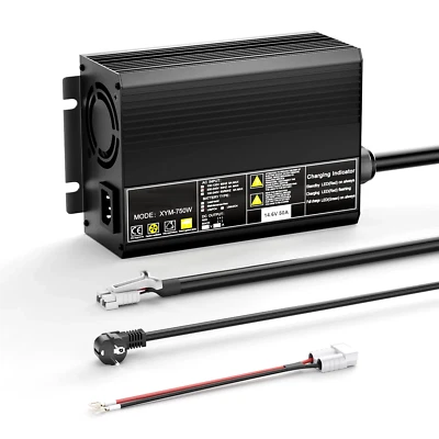 WATTENBERG Lifepo4 Ladegerät 14,6V 50A LFP Akku Charger 12V Ladegerät Lithiumakku Ladekabel