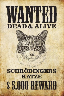 Ontrada Holzschild 12x18cm Wanted Dead Alive Schrödingers Katze Sprüche Holz
