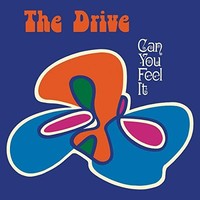 Can You Feel It - Vinyl Record - F600Z