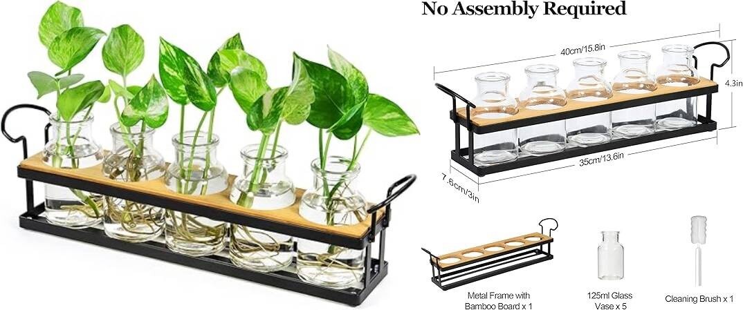 Estaciones de propagación de plantas con soporte de metal terrario de mesa.neuvo