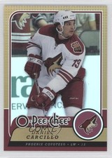 2008-09 O-Pee-Chee Rainbow Foil Daniel Carcillo #42 0a7