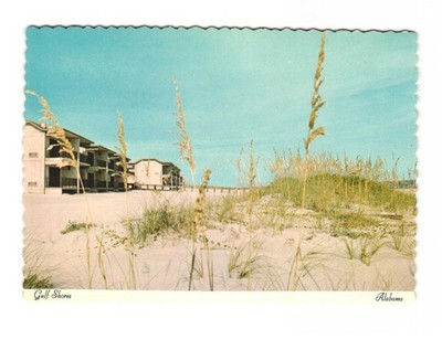 Gulf Shores AL sand dunes and sea Oats vintage postcard unposted