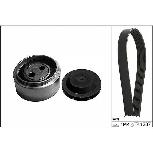 Ina Keilrippenriemensatz FüR Vw Passat B5 B5.5 Audi A4 B5 A6 C5 A8 4D 2.5 Tdi-image