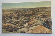 Vintage Postcard~ Petrified Forest National Painted Desert Landscape~ Arizona AZ