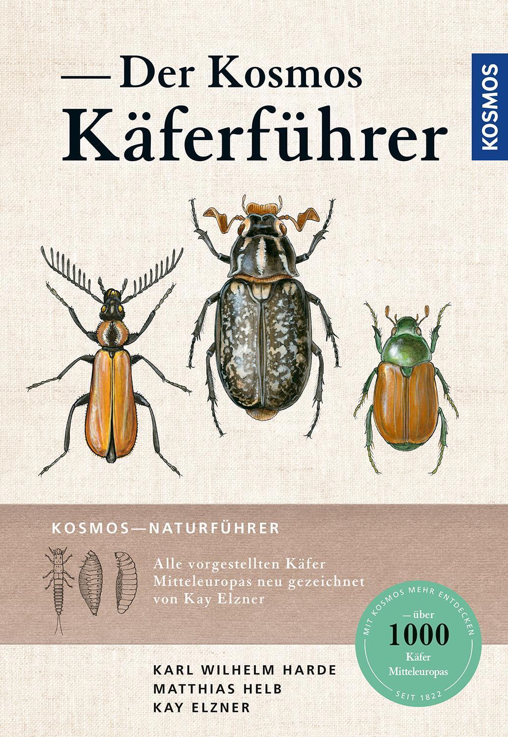 Thumbnail - Der Kosmos Käferführer Matthias Helb 9783440167595