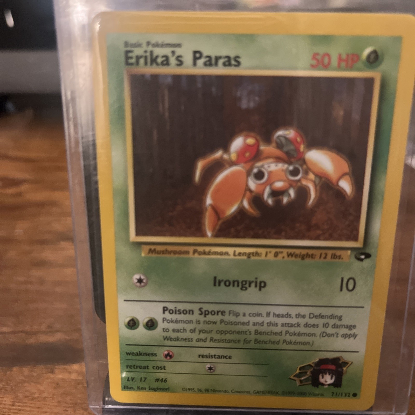 Erika's Paras 71/132 Gym Challenge Regular